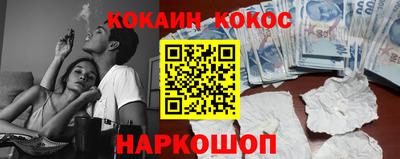 шишки Гай