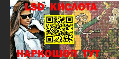 шишки Гай