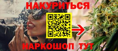 шишки Гай