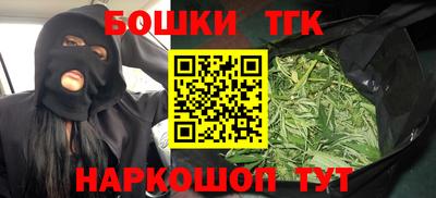 стаф Гатчина