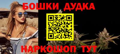 шишки Гай