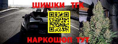 стаф Гатчина
