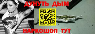 стаф Гатчина