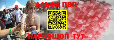 стаф Гатчина