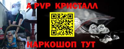 шишки Гай