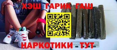стаф Гатчина