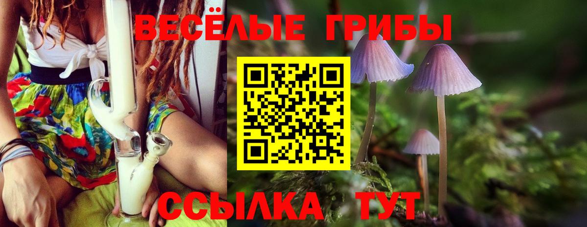 Галлюциногенные грибы Magic Shrooms  Вход с VPN  Москва 