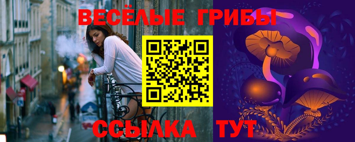 Псилоцибиновые грибы Psilocybine cubensis Москва